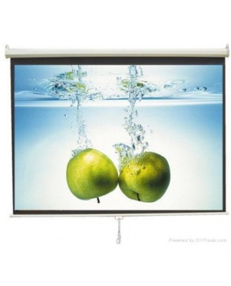 TruVision W-S84MC Wall Mount Screen 2.2 x 2.2M (84" x 84")